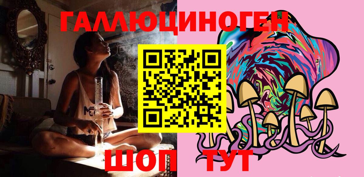 Железноводск  Галлюциногенные грибы Cubensis  Вход с VPN 